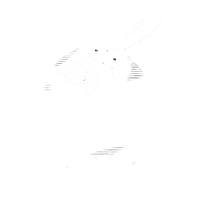 aleksandrservice.nl